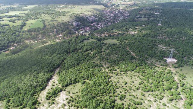 Trakya'nın akciğeri Istranca Ormanları için köylülerden doğa mücadelesi