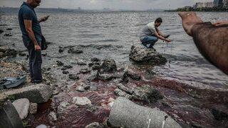 İstanbul'da tedirgin eden görüntü! Profesörden kritik uyarı