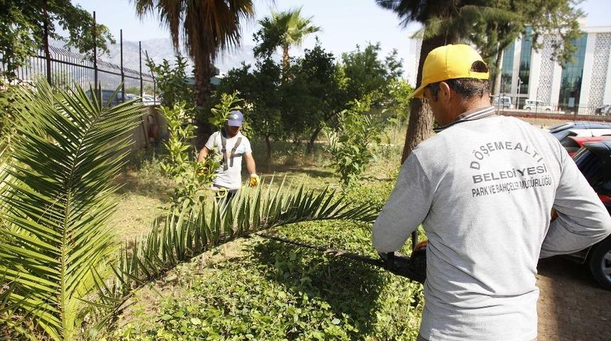 D&ouml;şemealtı&rsquo;na yaz bakımı