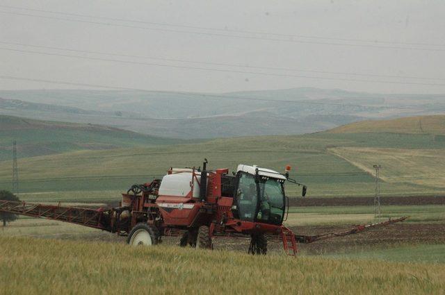 Süne ile mücadele tam gaz