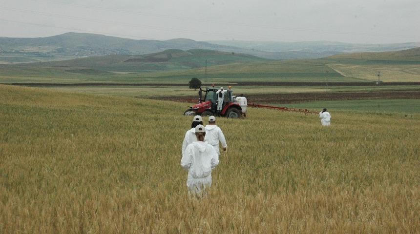 S&uuml;ne ile m&uuml;cadele tam gaz