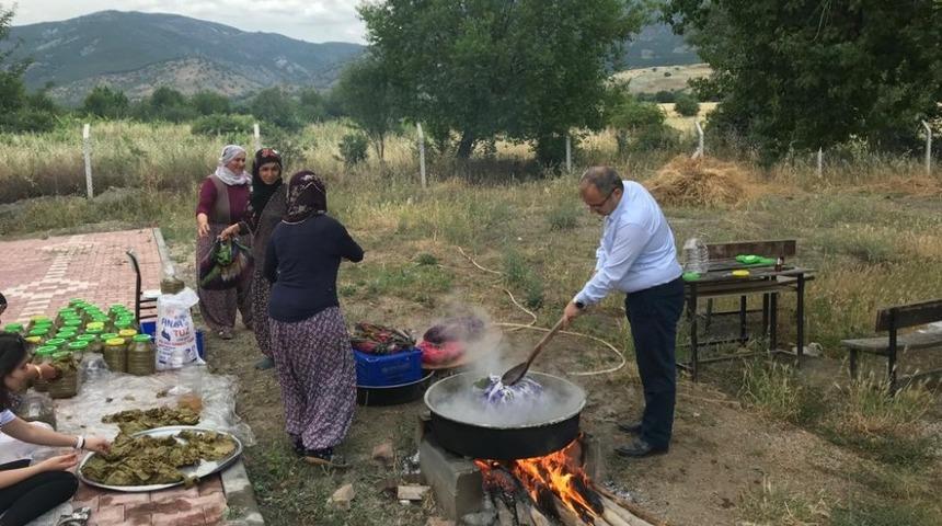 Kaymakam &Uuml;&ccedil;er, Tokat&rsquo;ın meşhur asma yaprağını topladı