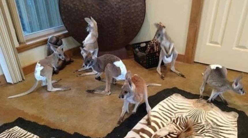 Hepsine bebek bezi takıp satışa çıkardı! Görenler isyan etti