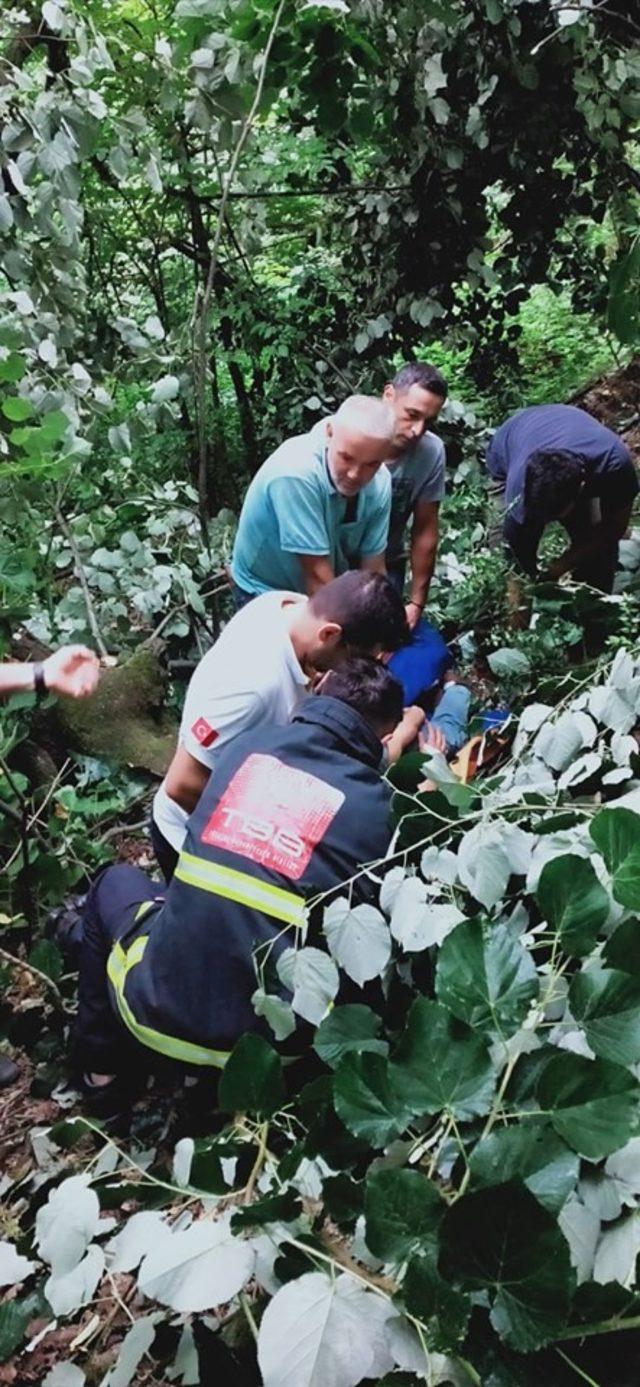 Ihlamur toplarken ağaçtan düşen genci itfaiye kurtardı