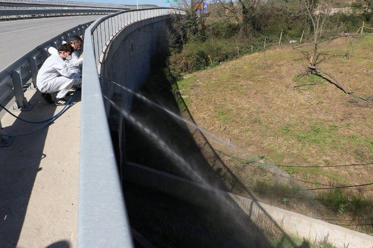 Eyüpsultan’da biyolojik yöntemlerle ilaçlama G4