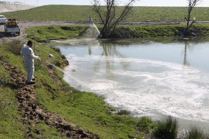 Eyüpsultan’da biyolojik yöntemlerle ilaçlama G5