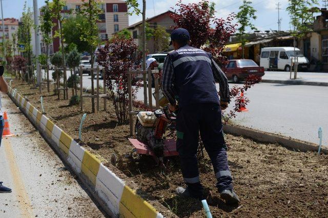 Park ve bahçelerde hummalı çalışma