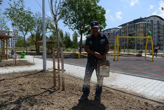 Park ve bahçelerde hummalı çalışma