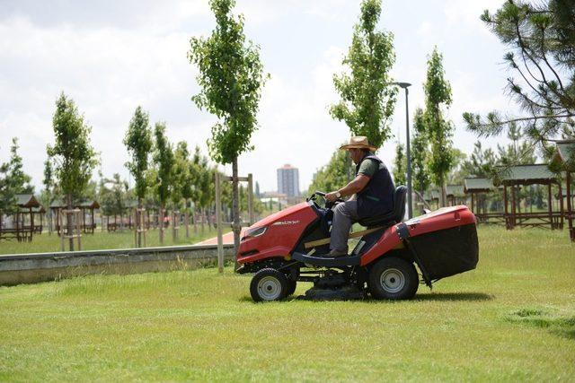 Park ve bahçelerde hummalı çalışma