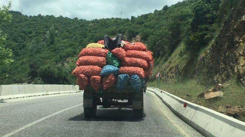 Tarladan pazara tehlikeli yolculuk