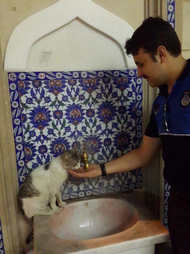 Susuz kalan sokak kedisine zabıta memuru eliyle su içirdi