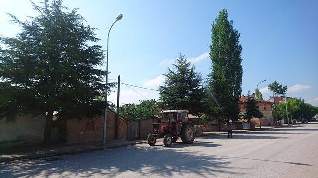 Aslanapa Belediyesi haşerelere karşı ilaçlama çalışmalarını sürdürüyor