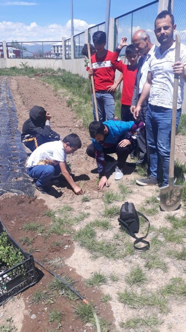 Devlet korumasındaki çocuklardan çilek tarlası projesi