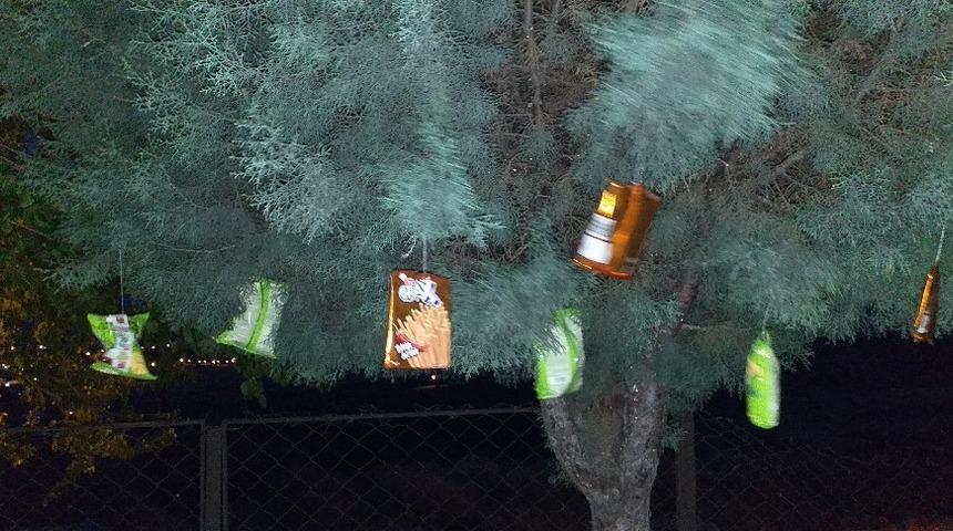 &Ccedil;ocukları sevindirmek istedi, ağaca hediyeler astı