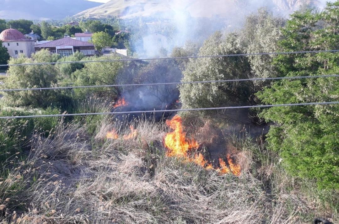 Ağa&ccedil; polenleri yangına sebep oldu