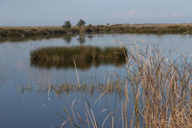 Kızılırmak Deltası için UNESCO süreci gelecek yıla kaldı