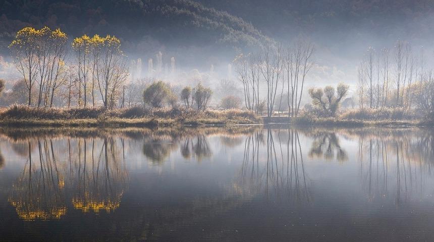 En iyi orman fotoğrafı Manisalı &ouml;ğretmenin objektifinden