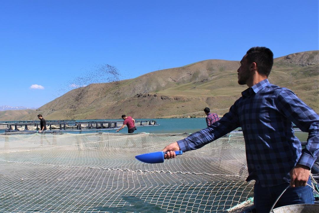 Van'da &uuml;retiliyor! &Ccedil;evre illere g&ouml;nderiliyor