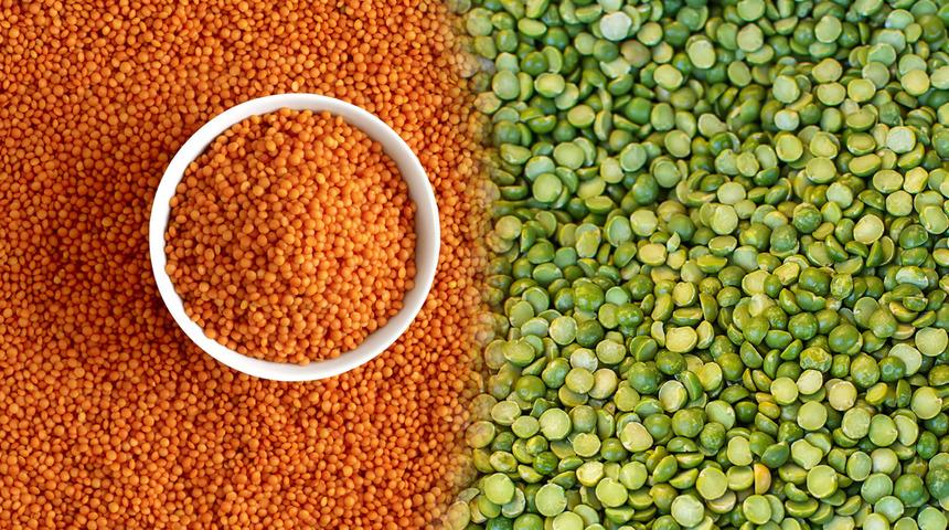 Kırmızı ve yeşil mercimek arasındaki fark nedir?