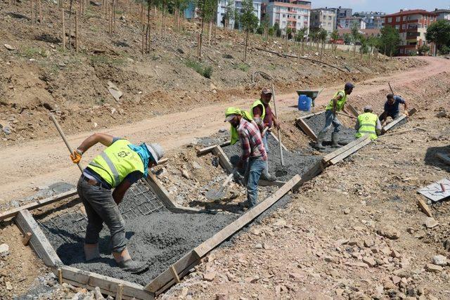 Tatlıkuyu Vadisi 2. etabına 3 bin ağaç dikildi