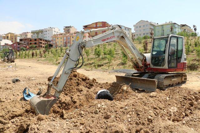 Tatlıkuyu Vadisi 2. etabına 3 bin ağaç dikildi