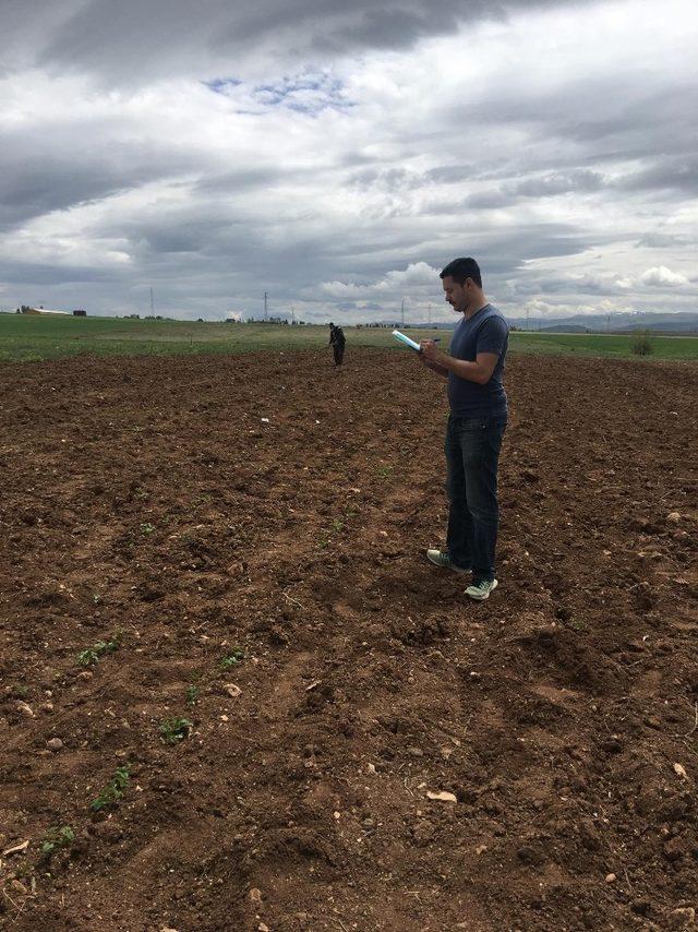 Aydıntepe’de dondan etkilenmeyen yeni fasulye türü geliştiriliyor