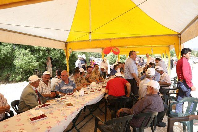 Gaziantep’te 2’nci kiraz hasat şenliği düzenlendi