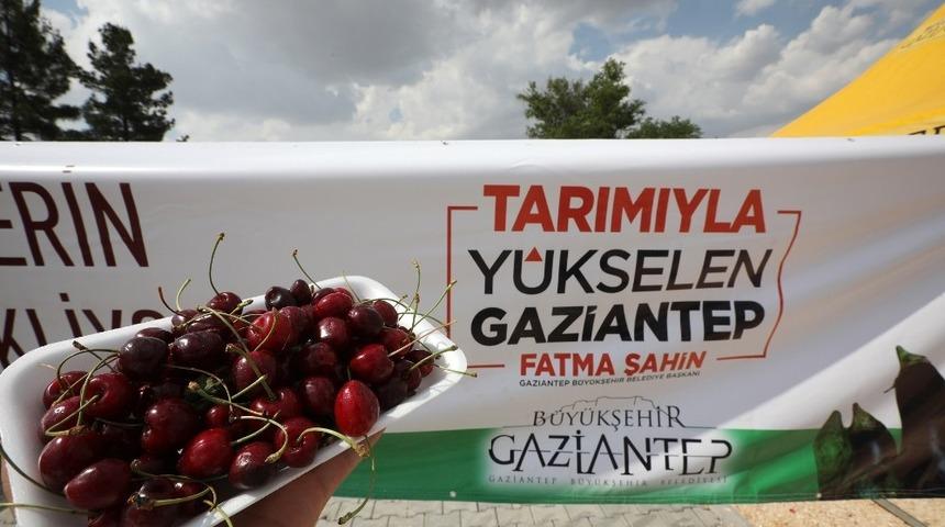 Gaziantep&rsquo;te 2&rsquo;nci kiraz hasat şenliği d&uuml;zenlendi