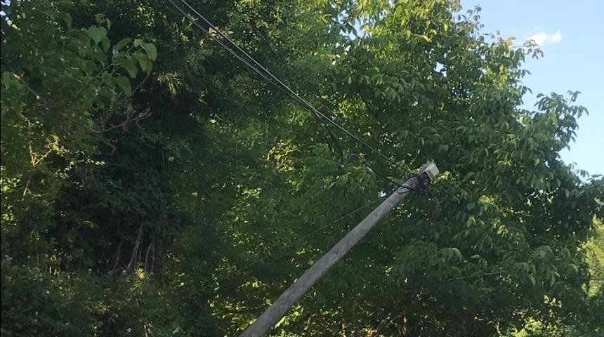 Devrek&rsquo;te elektrik direkleri tehlike sa&ccedil;ıyor