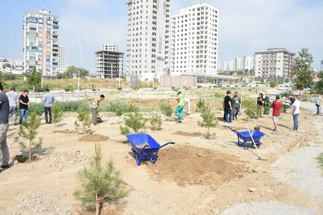 Tarsus’ta 151. yılda Türkan Saylan anısına 151 fidan dikildi