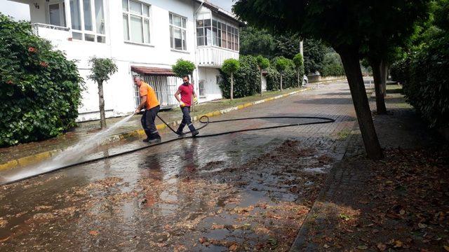 Körfez’de sahillere bakım