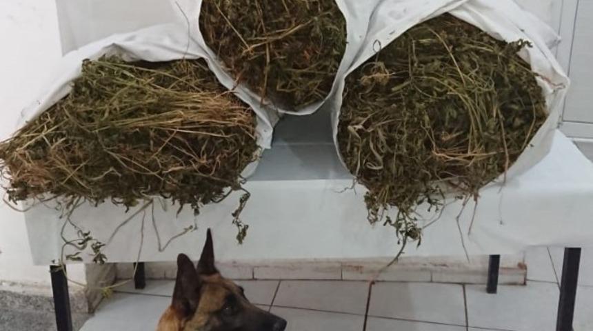 Osmaniye&rsquo;de uyuşturucu operasyonu