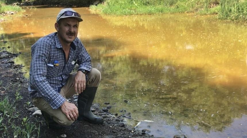 &Ccedil;anakkale&rsquo;de balık &ouml;l&uuml;mleri