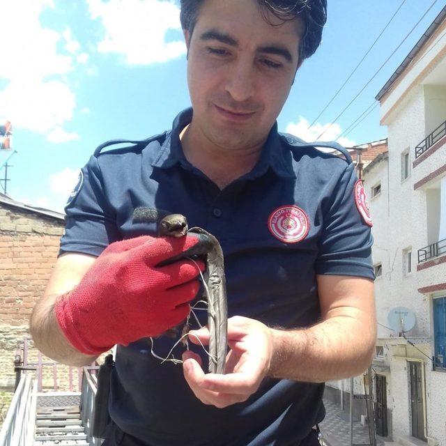 Mahsur kalan kırlangıcı itfaiye ekibi kurtardı