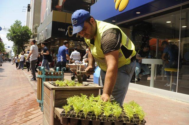 Uzun Çarşı’da hummalı çalışma