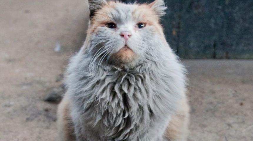 Adı bile Kirli! Nedenini ise duyunca &ccedil;ok şaşıracaksınız