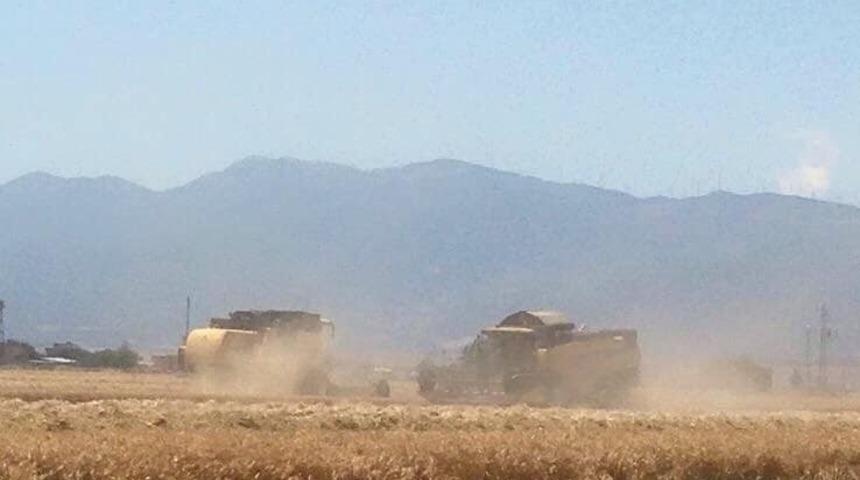 Nurdağı’nda hububat hasadı başladı