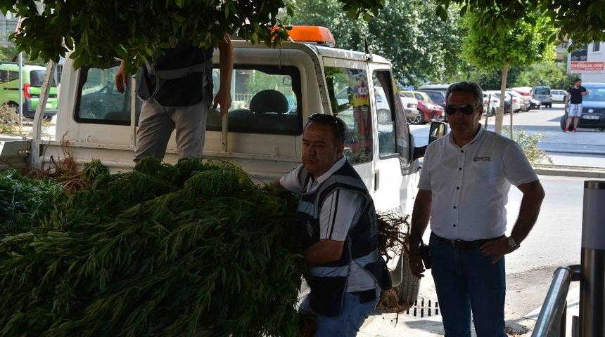 Ortaca’da uyuşturucu operasyonu