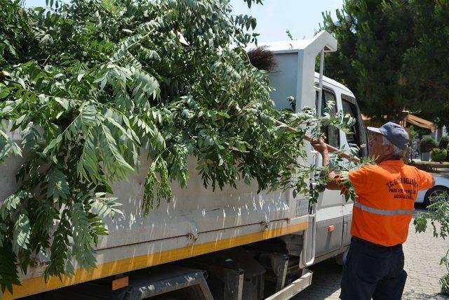 Efeler Belediyesi’nden çevre temizliği hamlesi