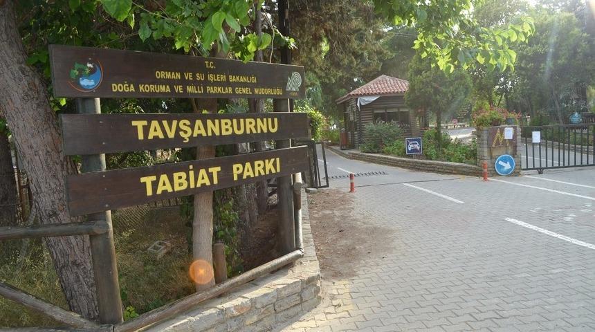 Didim Orman Kampı hizmet vermeye devam edecek