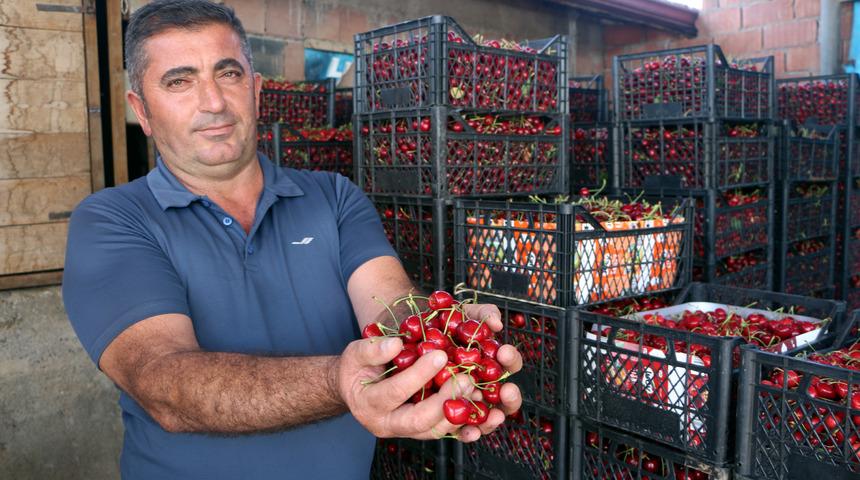 Tokat'ta kiraz ihracatı başladı