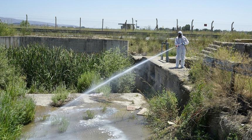 Tepebaşı’nda haşere ile mücadele