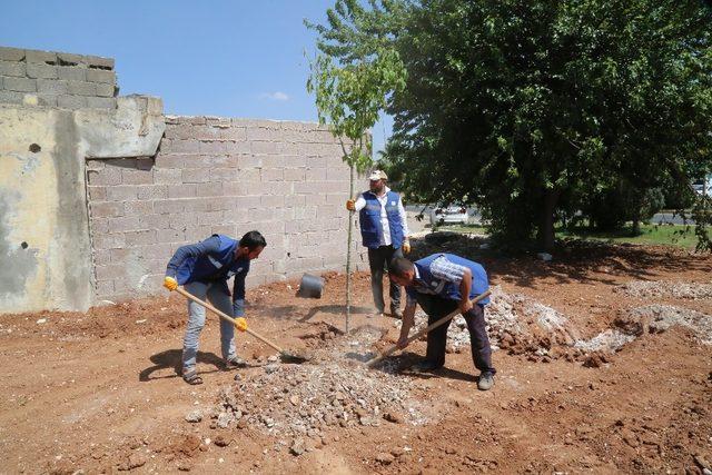 Haliliye’de park yapım atağı