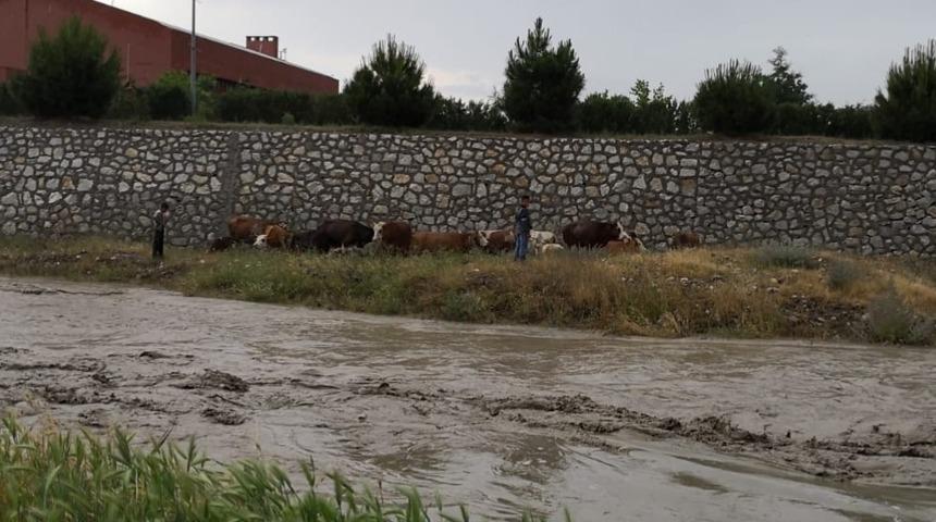 Yağmur suları y&uuml;kselince dere kenarında mahsur kaldılar