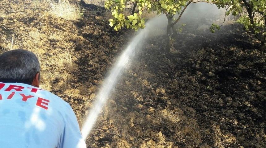 Siirt&rsquo;te fıstık bah&ccedil;esinde &ccedil;ıkan yangın s&ouml;nd&uuml;r&uuml;ld&uuml;