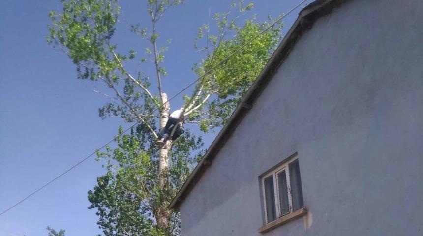 Testereyle bacağını kesen adam ağaçta mahsur kaldı