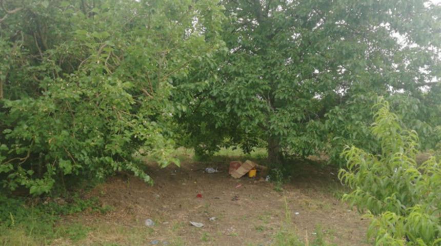 Piknik yaparken yıldırım çarptı, ağır yaralandı!