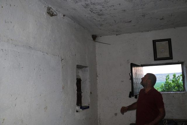 Dededen kalma çiftlikte muhtaç hayvanlara bakıyor 2
