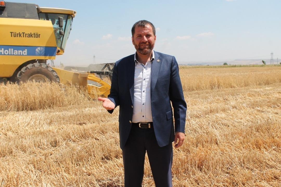 Diyarbakır&rsquo;da yılın ilk buğday hasadı yapıldı