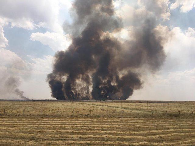 Kamışlı'daki tarlalarda yangın, Türkiye'de önlem